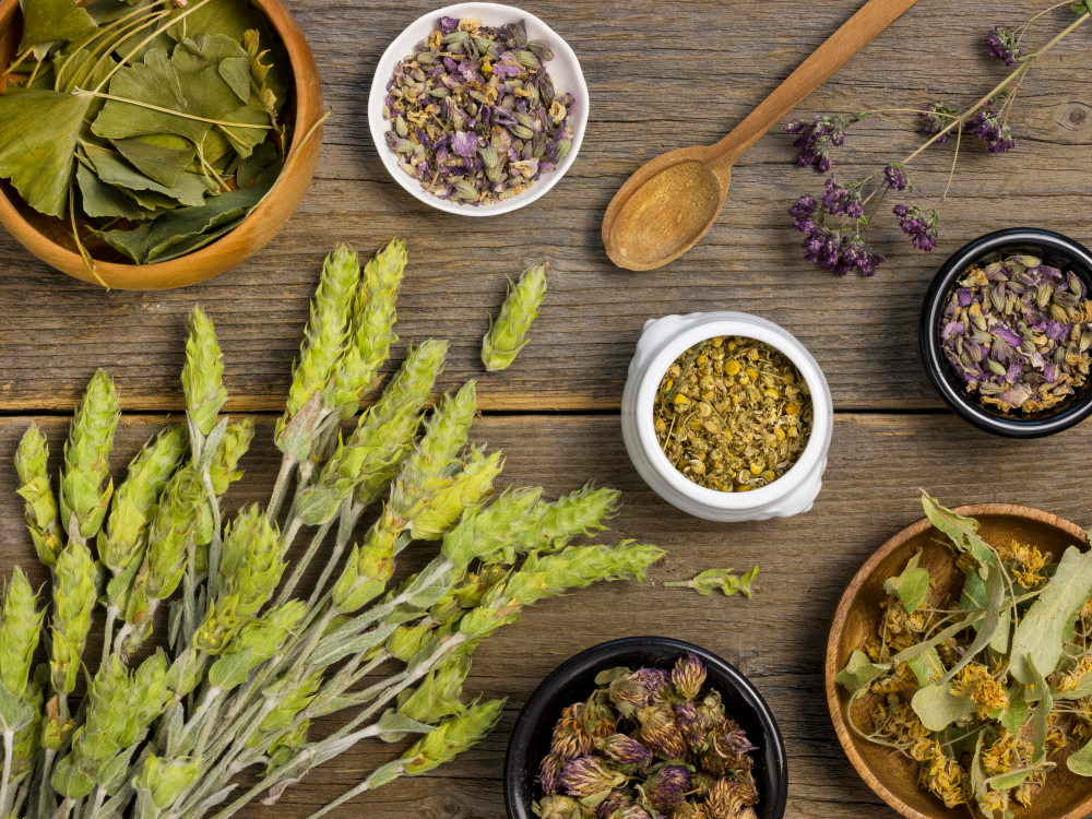 Diverses herbes séchées sur une table en bois avec cuillère en bois.