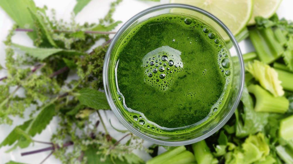Verre de jus vert entouré de légumes et herbes fraîches.