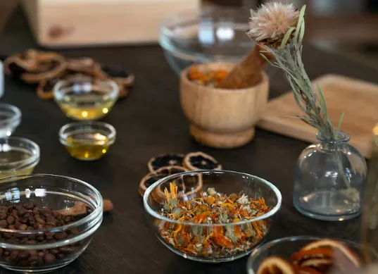 Les essais cliniques des médecines traditionnelles : la science au chevet des pratiques ancestrales